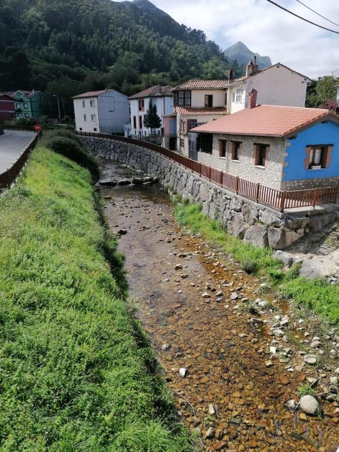 Apartmán Nueva El Bosquin Exteriér fotografie